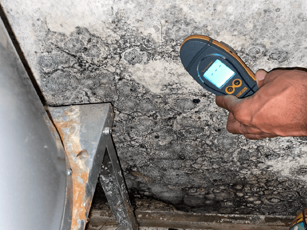 
Denver,Colorado Mold Inspection and Testing Services